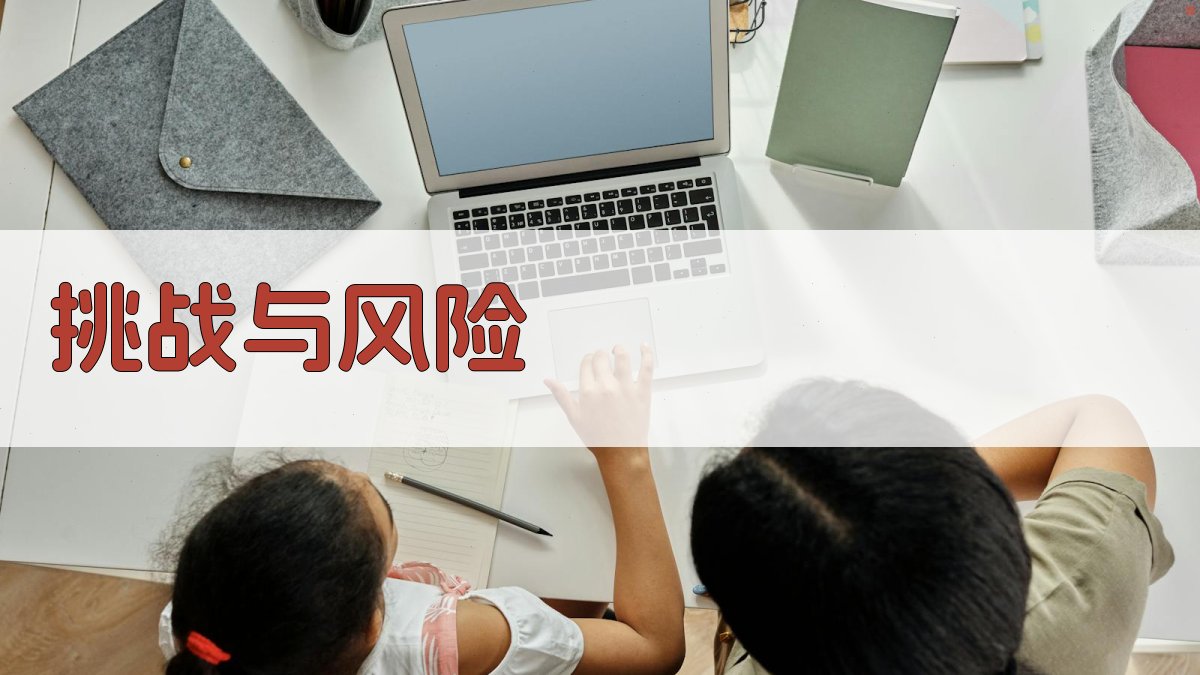 挑战与风险 图1