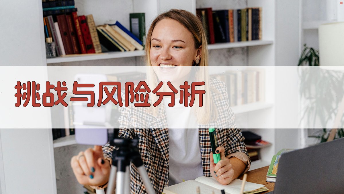 挑战与风险分析 图2