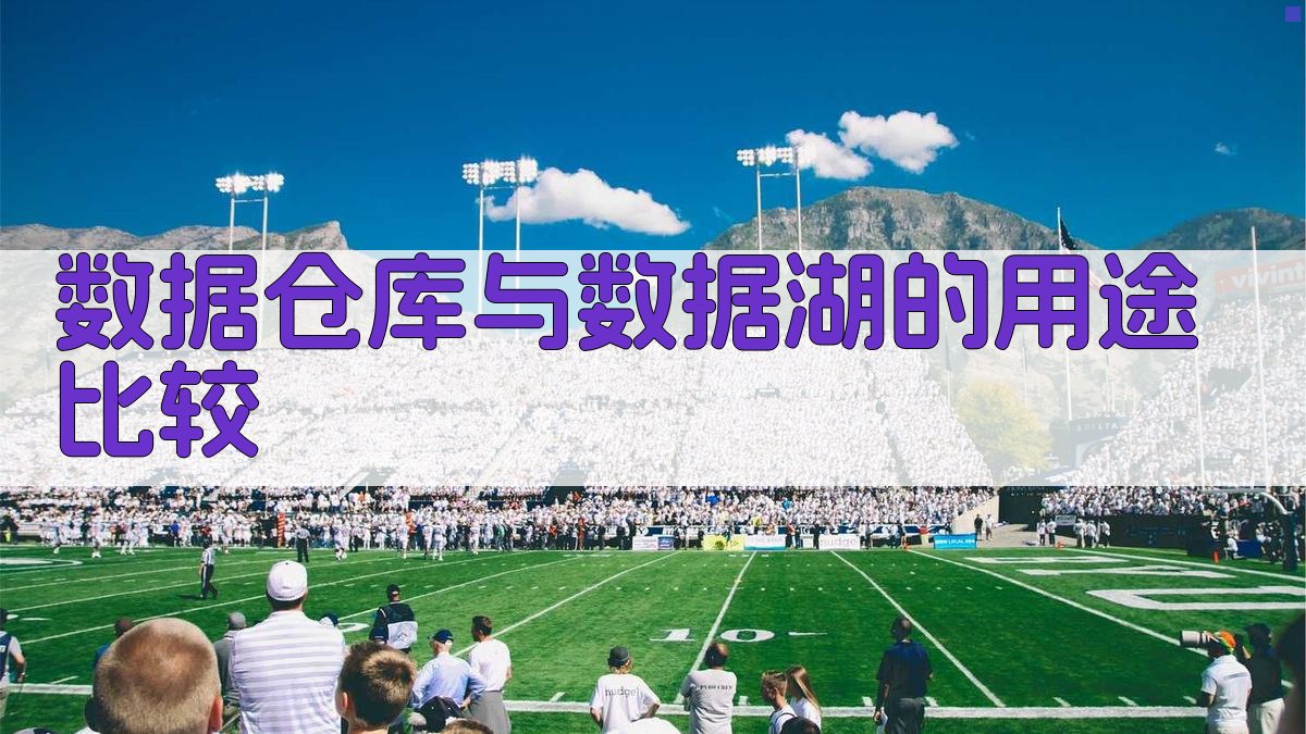 数据仓库与数据湖的用途比较 图2