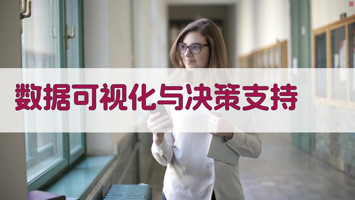 数据可视化与决策支持 图4