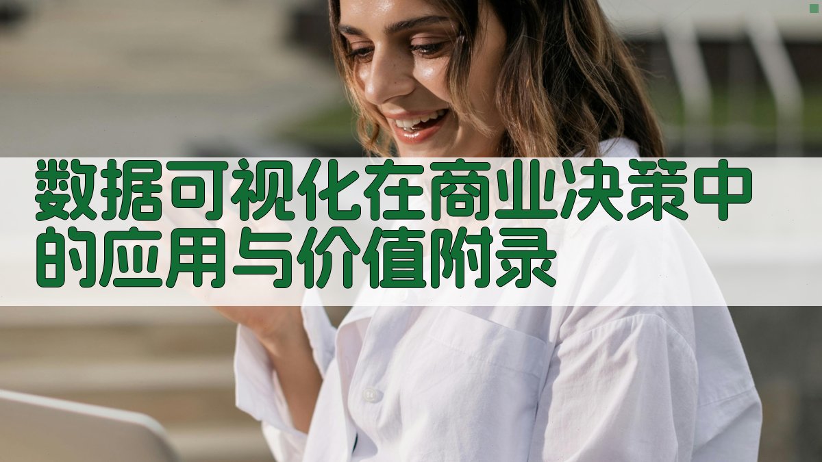 数据可视化在商业决策中的应用与价值 · 附录 图2