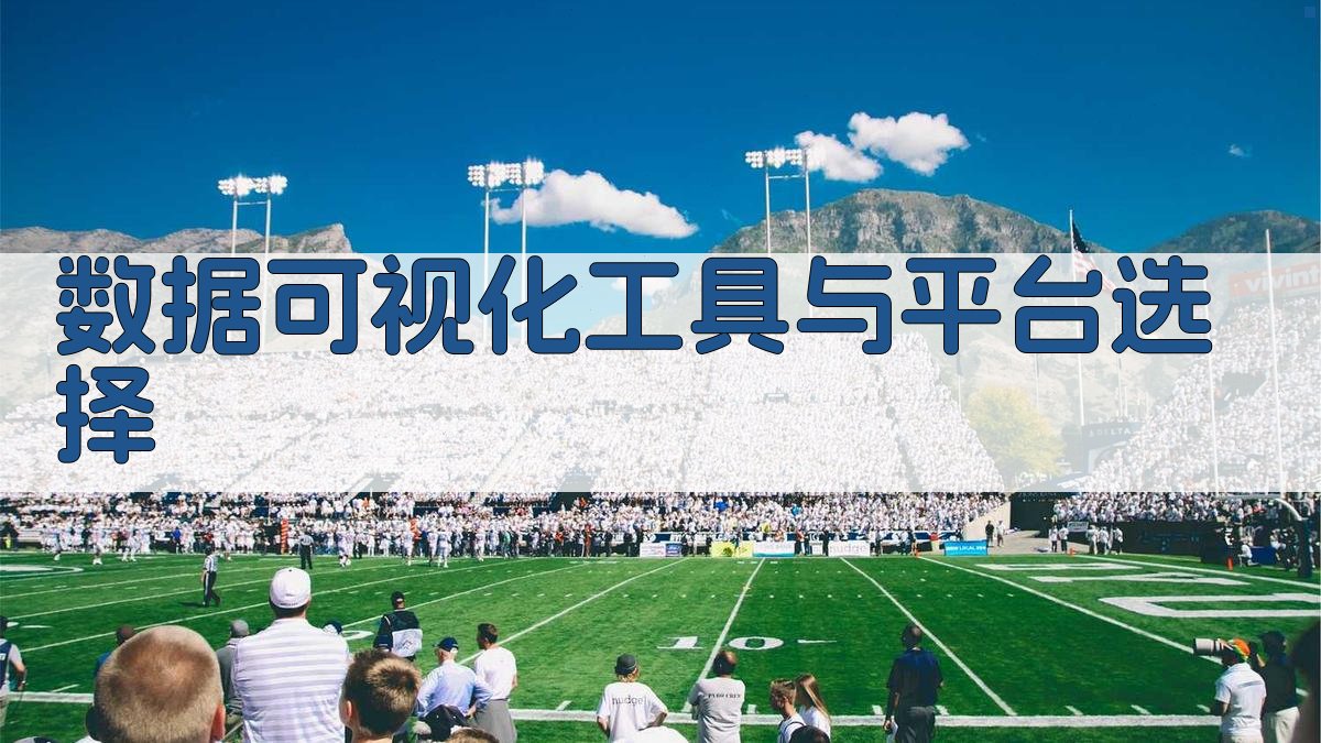 数据可视化工具与平台选择 图3
