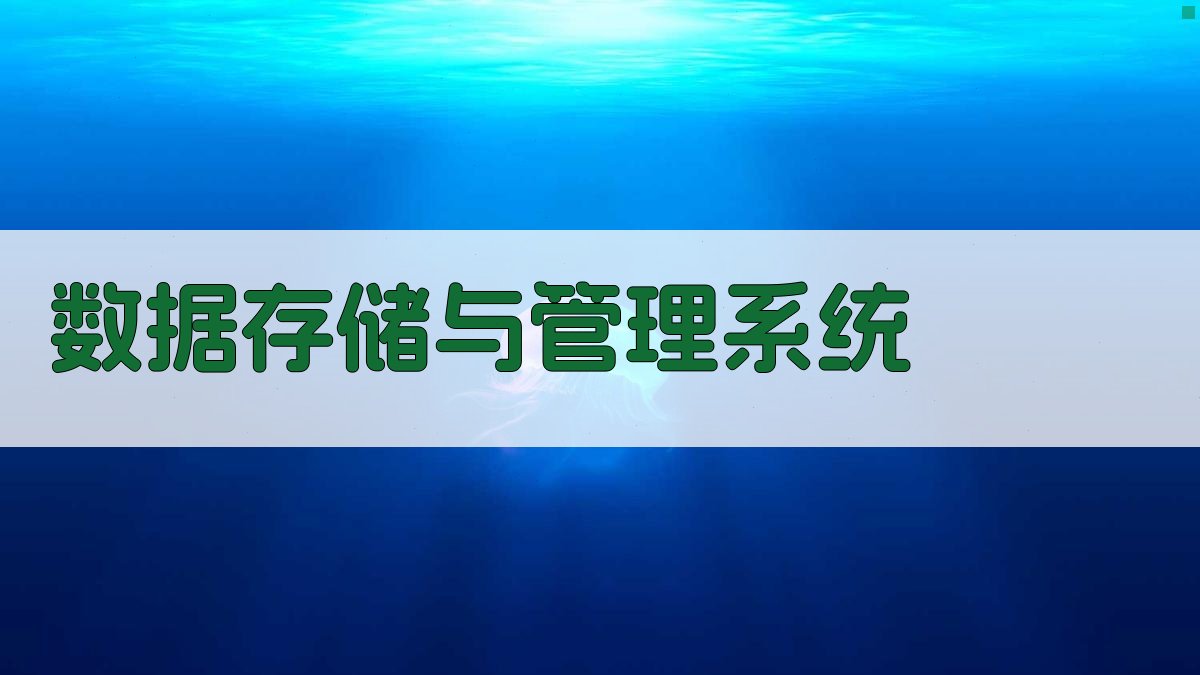 数据存储与管理系统 图1