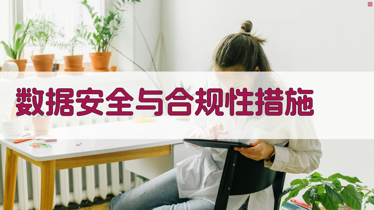 数据安全与合规性措施 图3