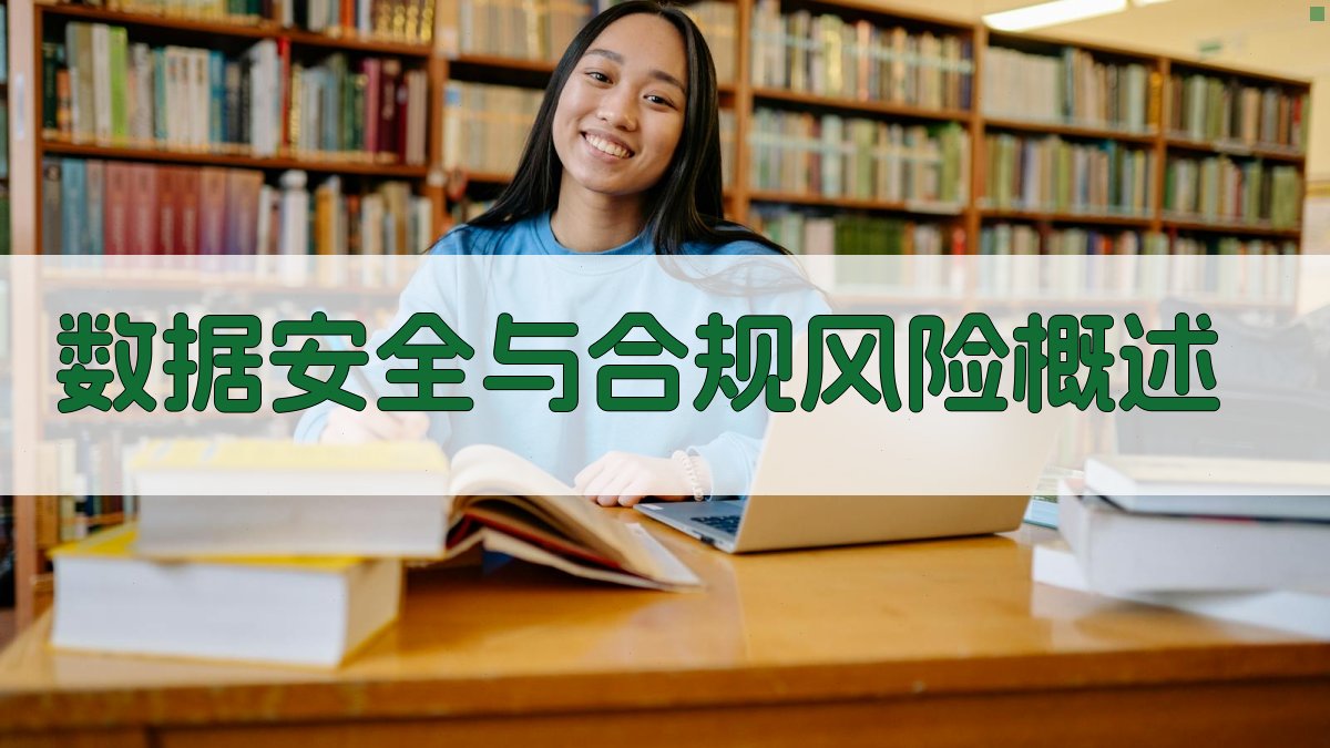构建数据安全与合规风险防控体系