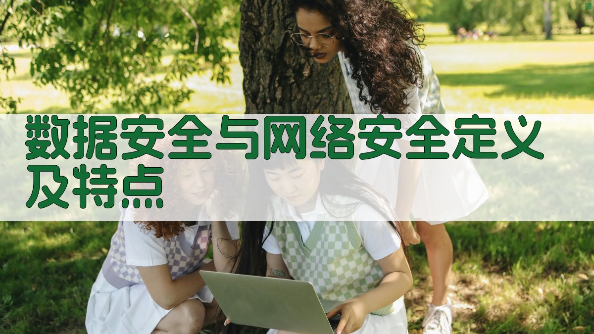 数据安全与网络安全定义及特点 图1