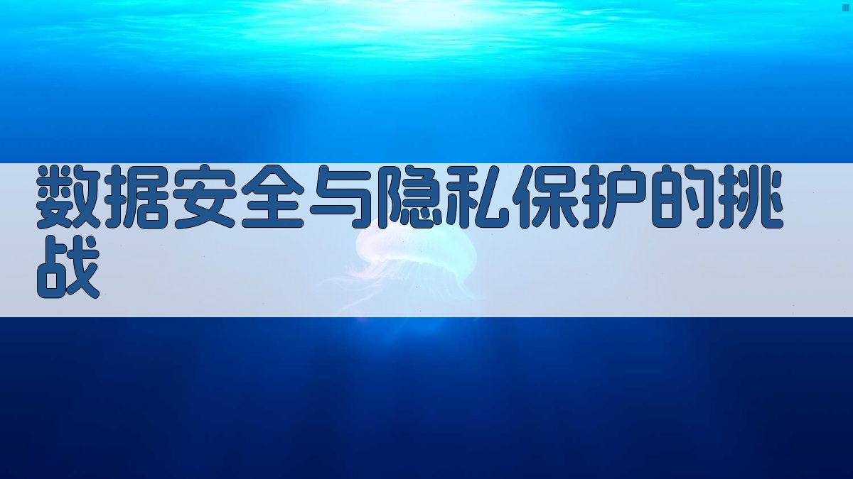 数据安全与隐私保护的挑战 图1