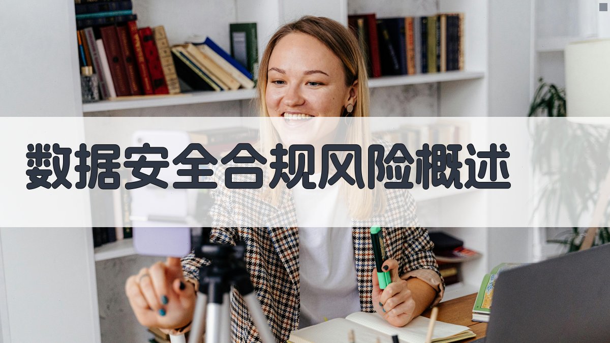 数据安全与合规风险控制防范合规风险