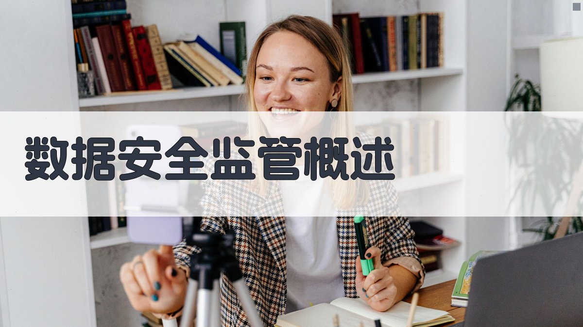 数据安全监管概述 图1