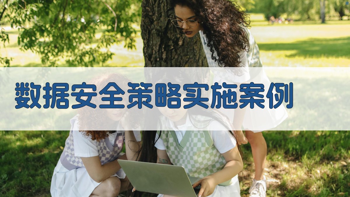 数据安全策略实施案例 图5