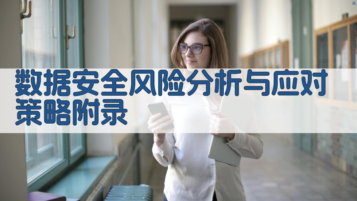 数据安全风险分析与应对策略 · 附录 图5