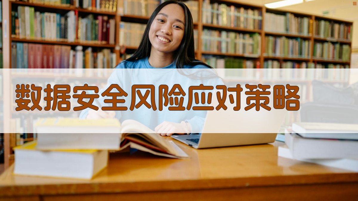 数据安全风险应对策略 图2