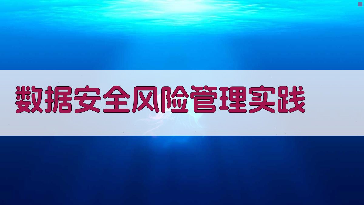 数据安全风险管理实践 图4