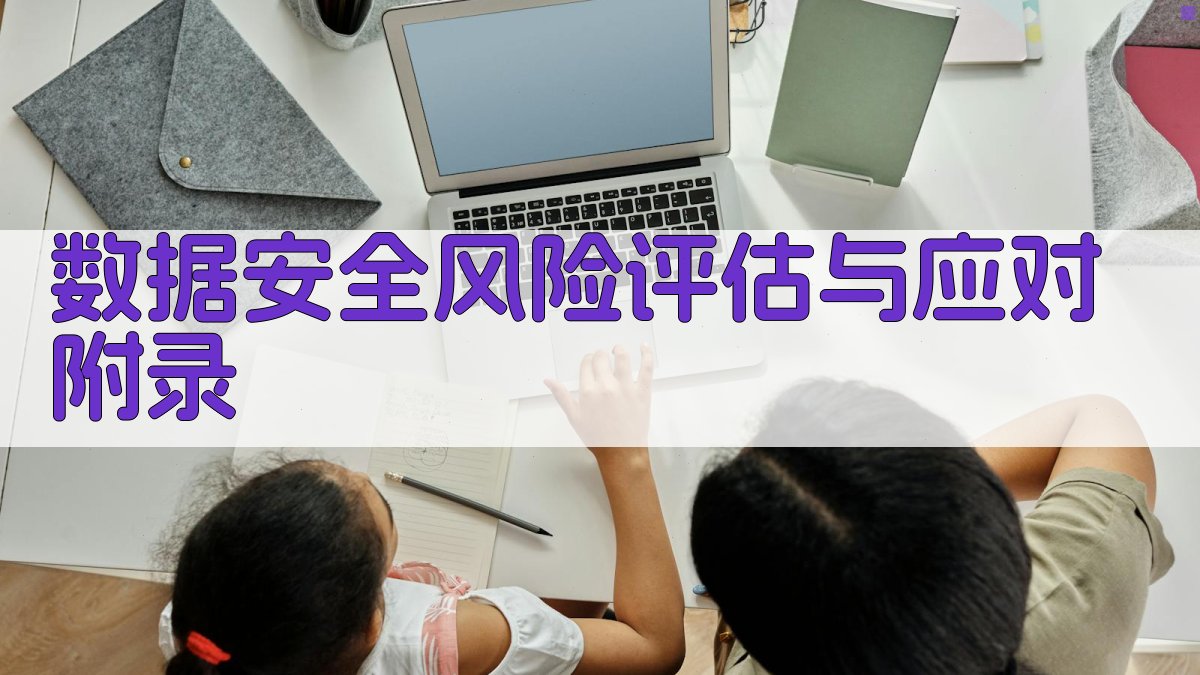 数据安全风险评估与应对 · 附录 图3