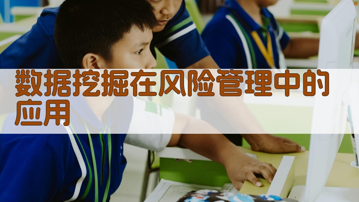 数据挖掘在风险管理中的应用 图1