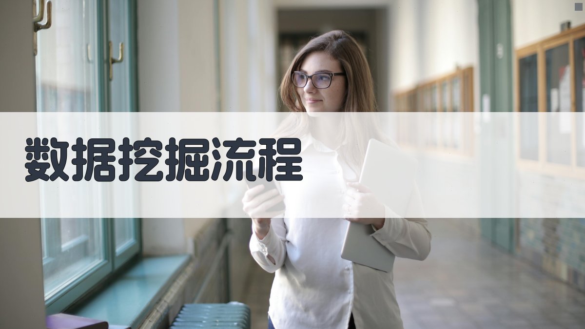 数据挖掘流程 图2