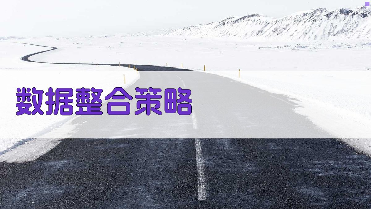 数据整合策略 图4