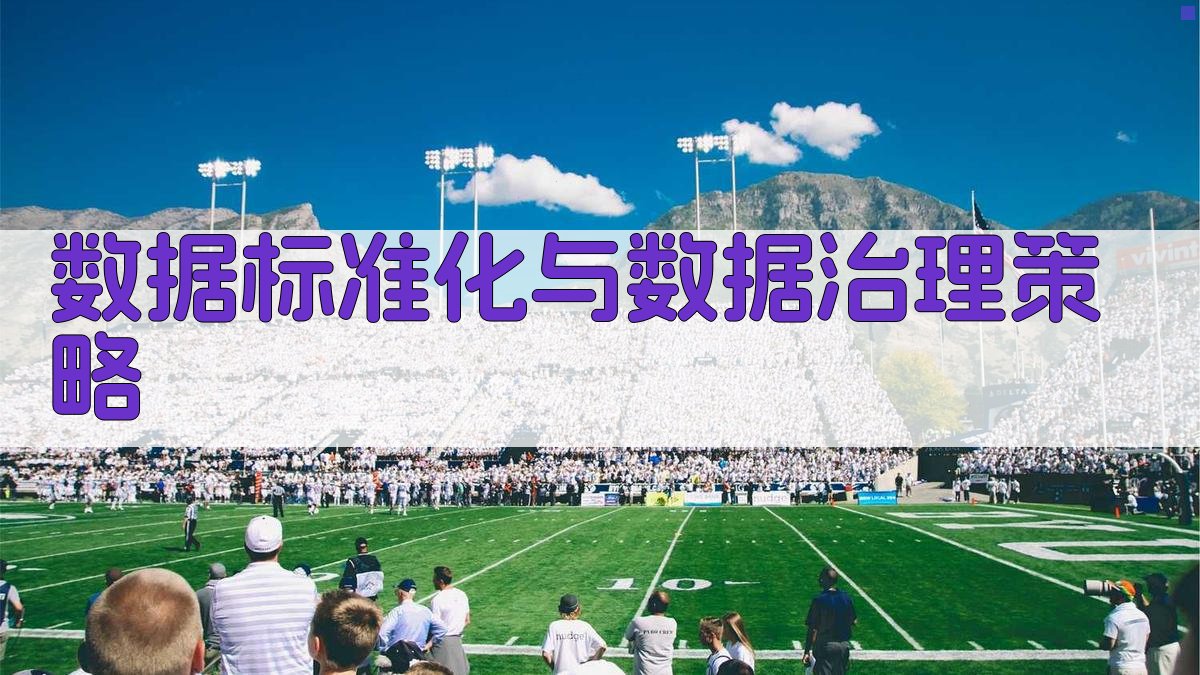 数据标准化与数据治理策略 图2