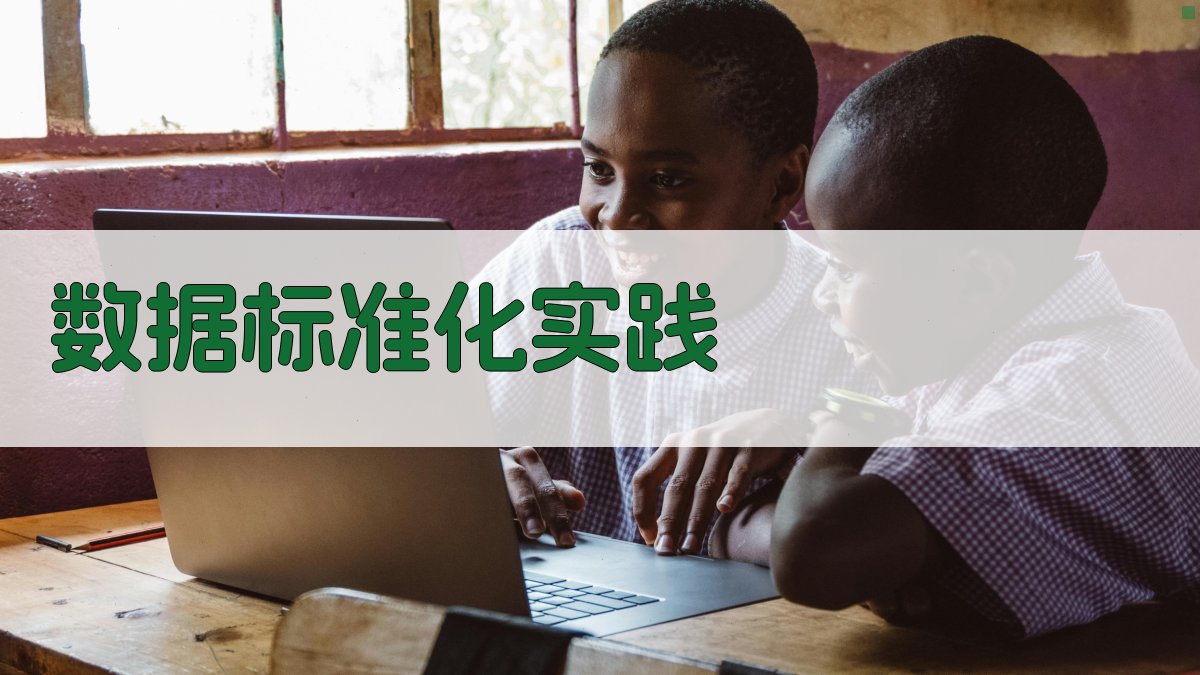 数据标准化实践 图3