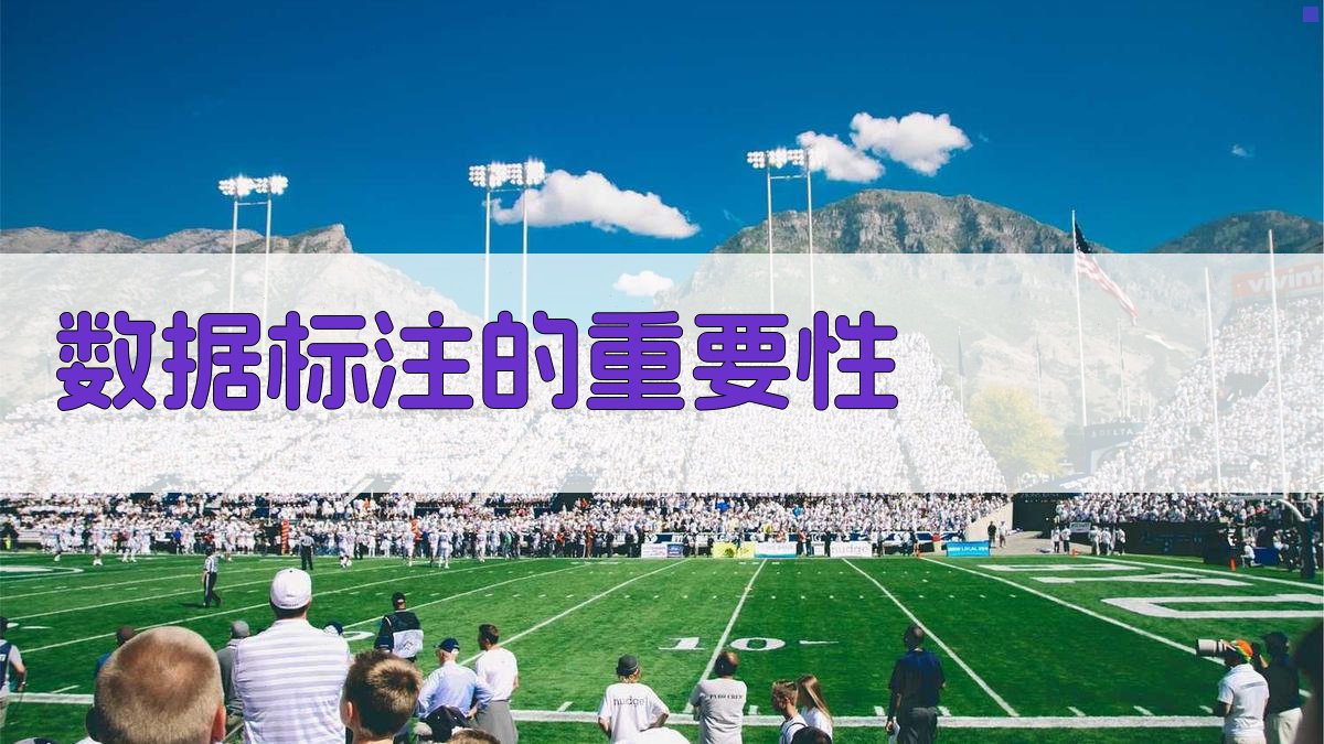 数据标注的重要性 图1