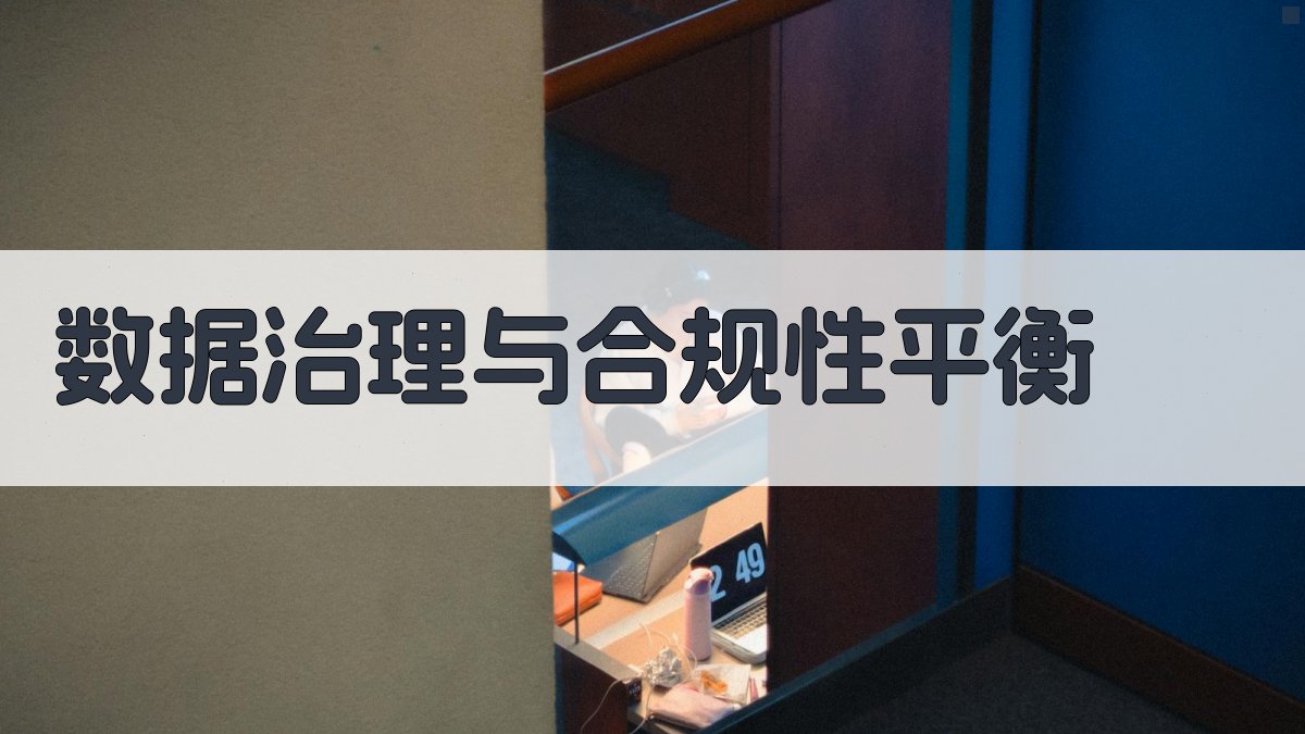 数据治理与合规性平衡 图3