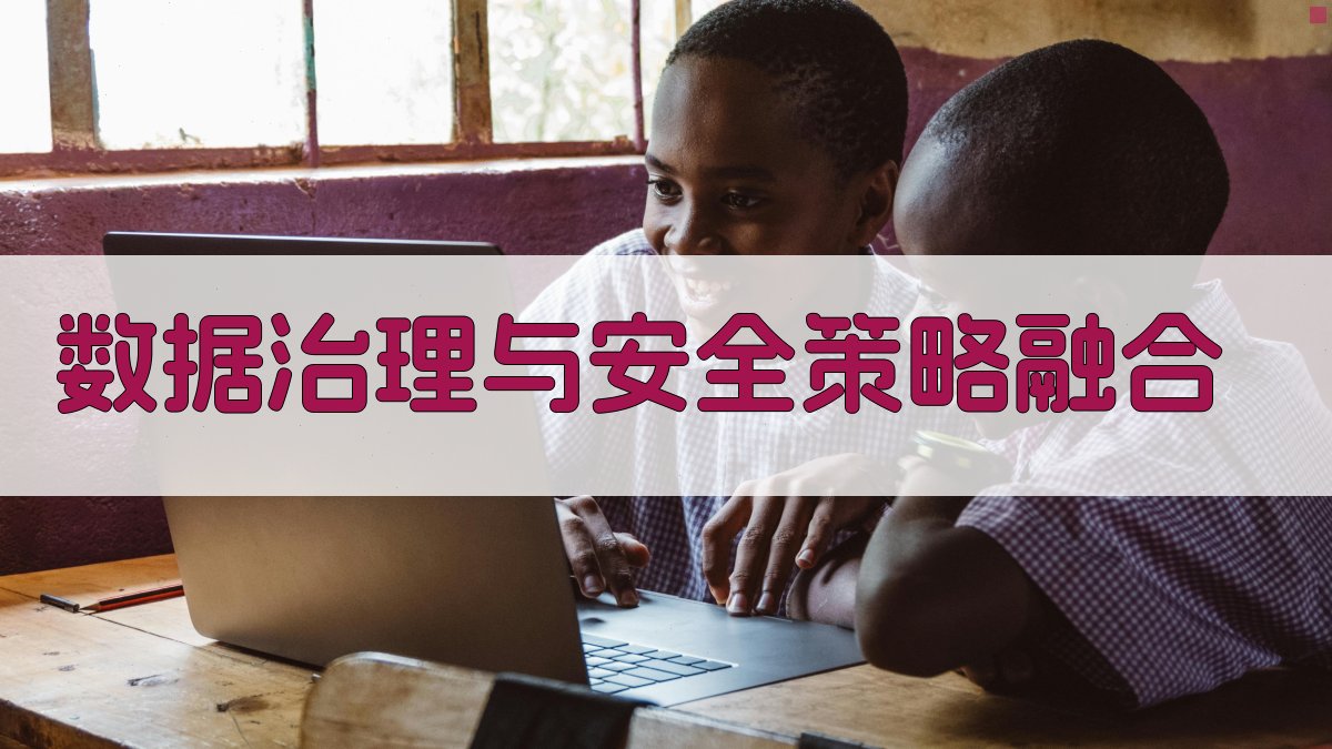 数据治理与安全策略融合 图3