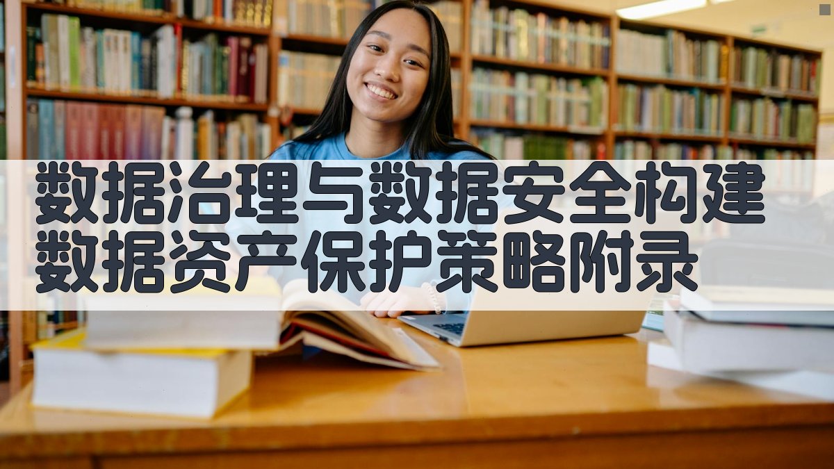 数据治理与数据安全构建数据资产保护策略 · 附录 图4