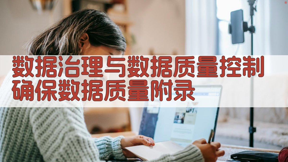 数据治理与数据质量控制确保数据质量 · 附录 图4