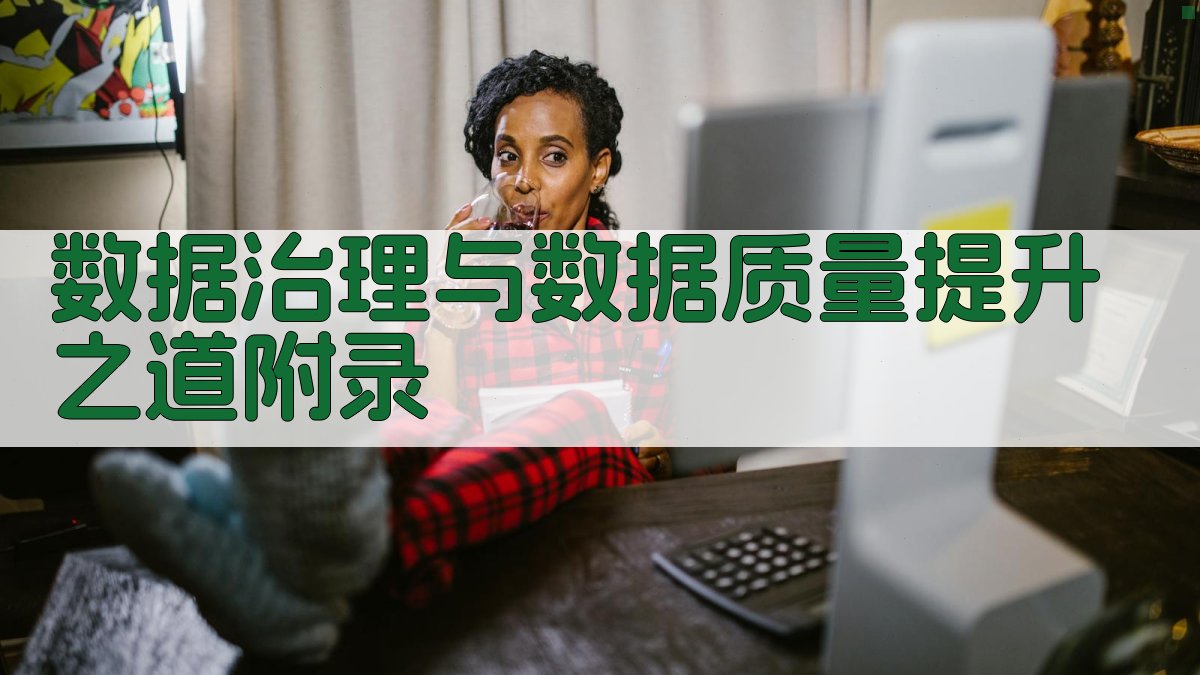 数据治理与数据质量提升之道 · 附录 图4