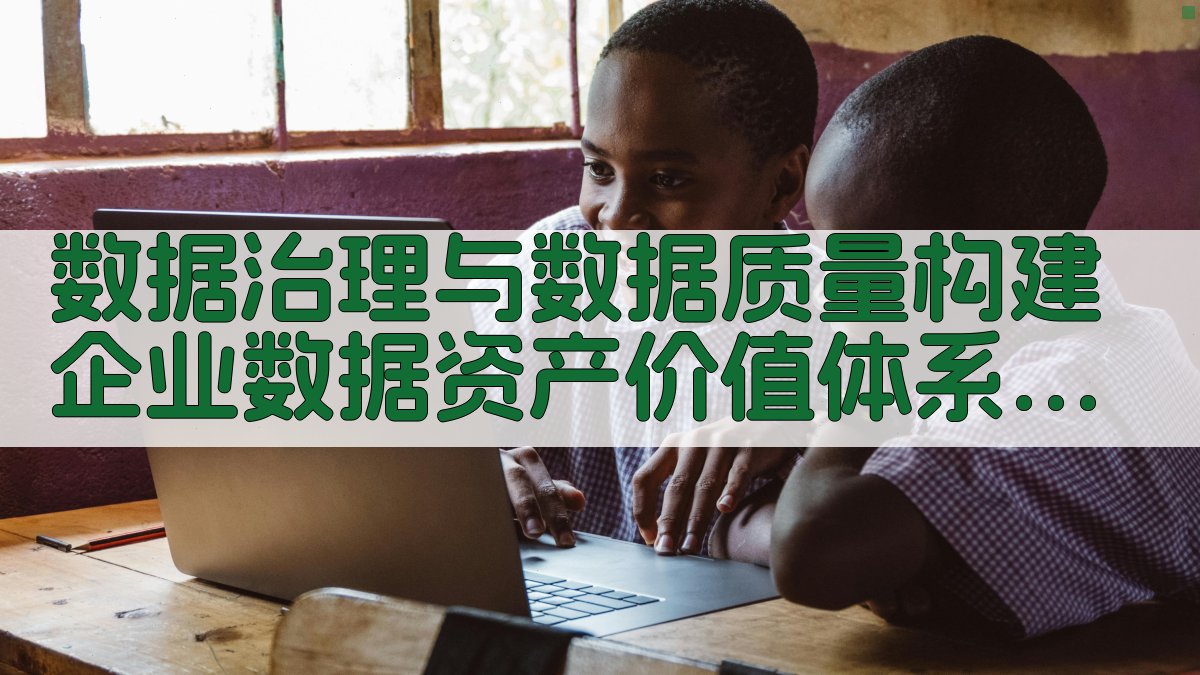 数据治理与数据质量构建企业数据资产价值体系 · 附录 图4