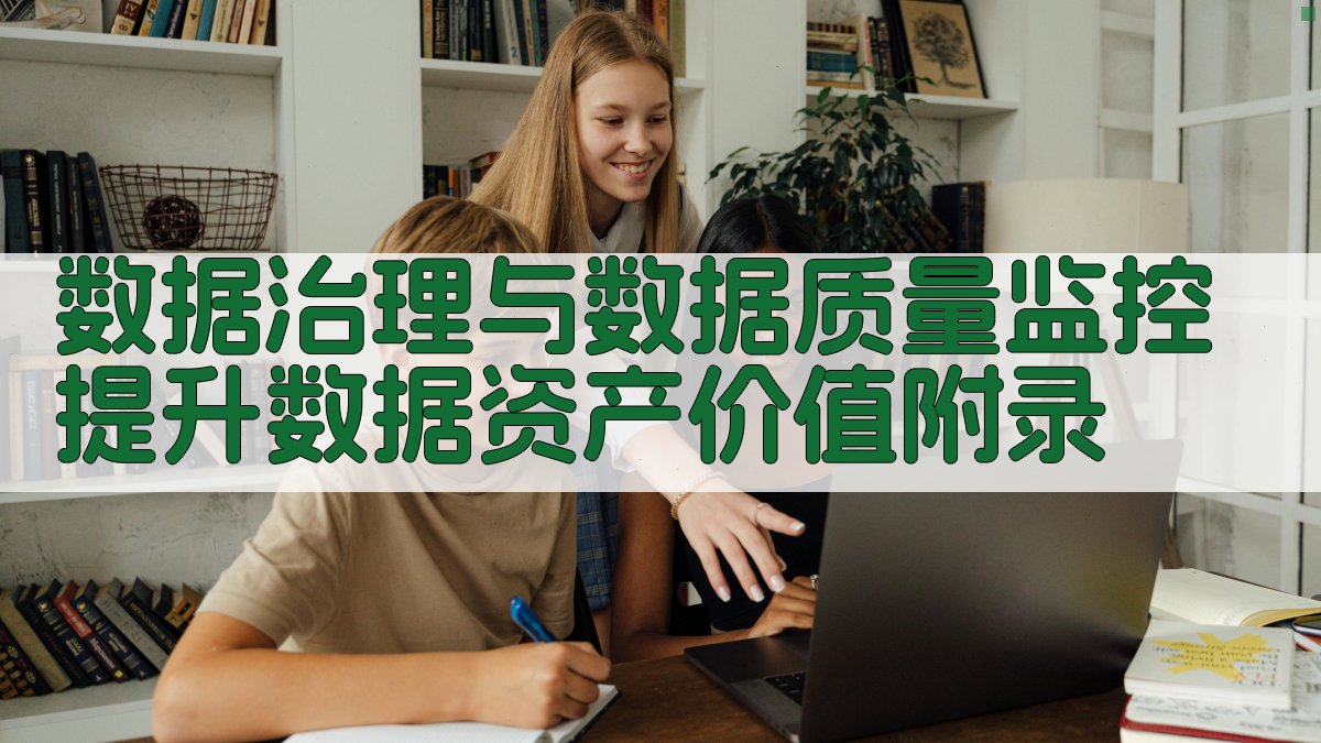 数据治理与数据质量监控提升数据资产价值 · 附录 图5