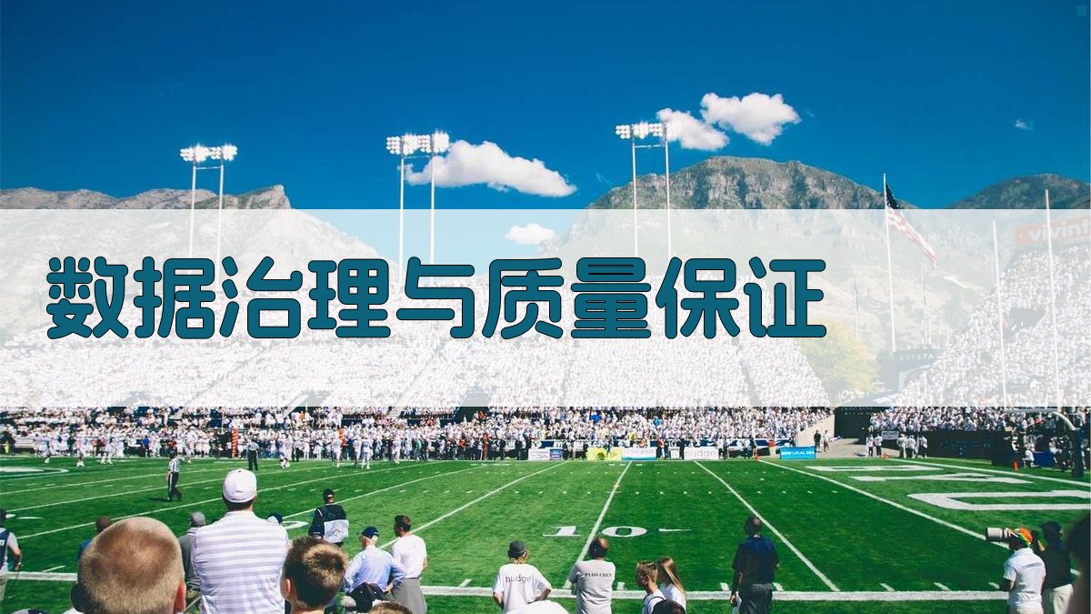 数据治理与质量保证 图1