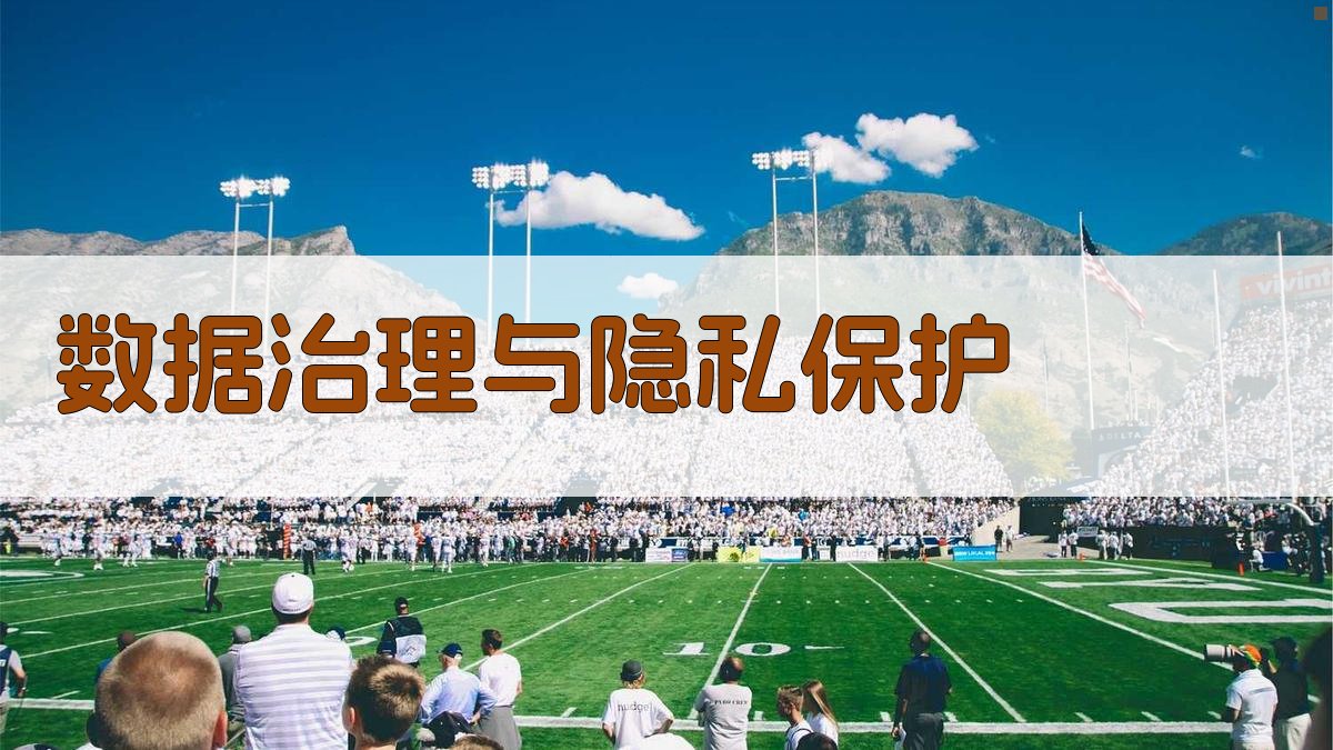 数据治理与隐私保护 图4