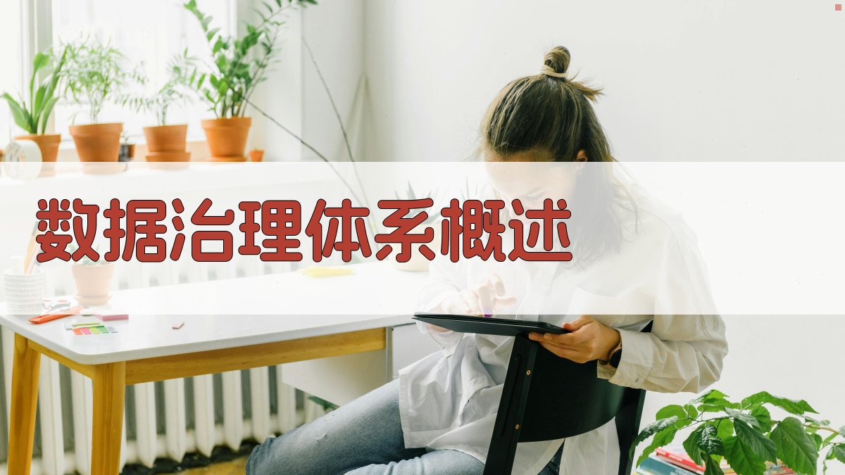 数据治理体系构建与数据质量控制流程