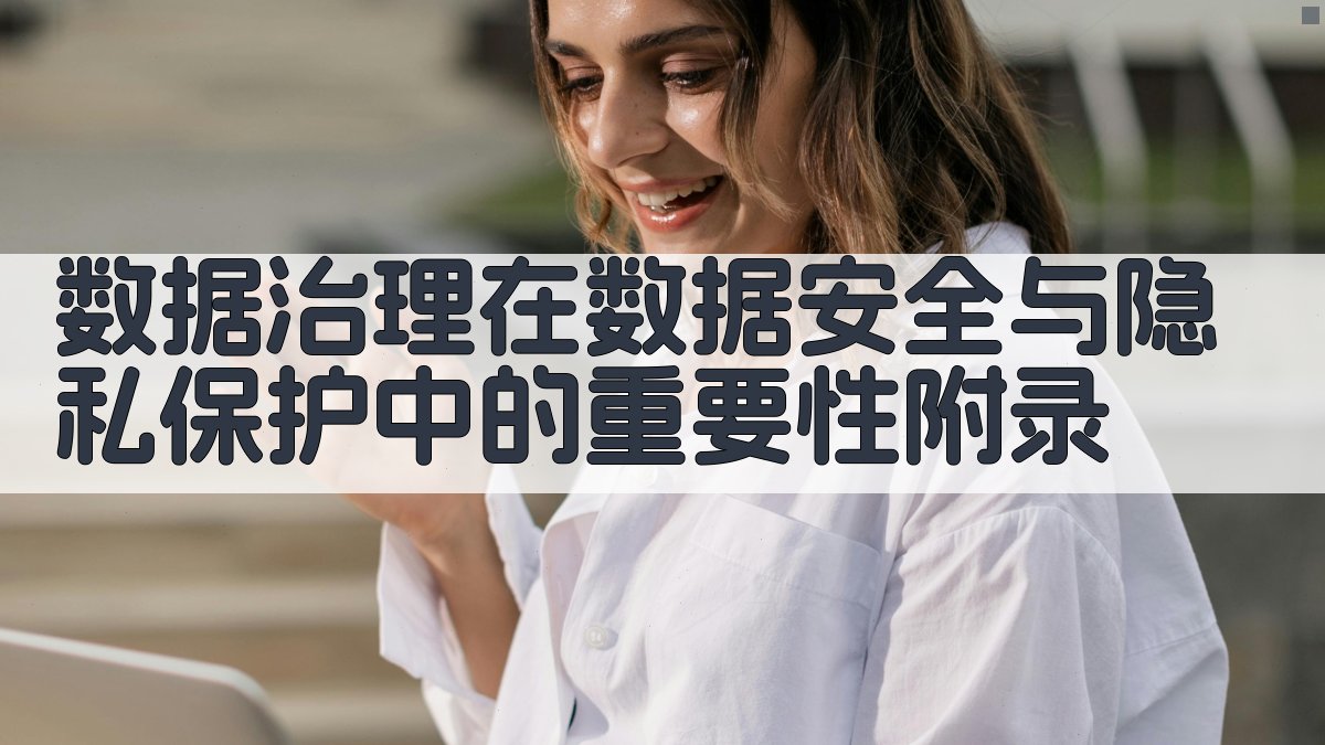 数据治理在数据安全与隐私保护中的重要性 · 附录 图3