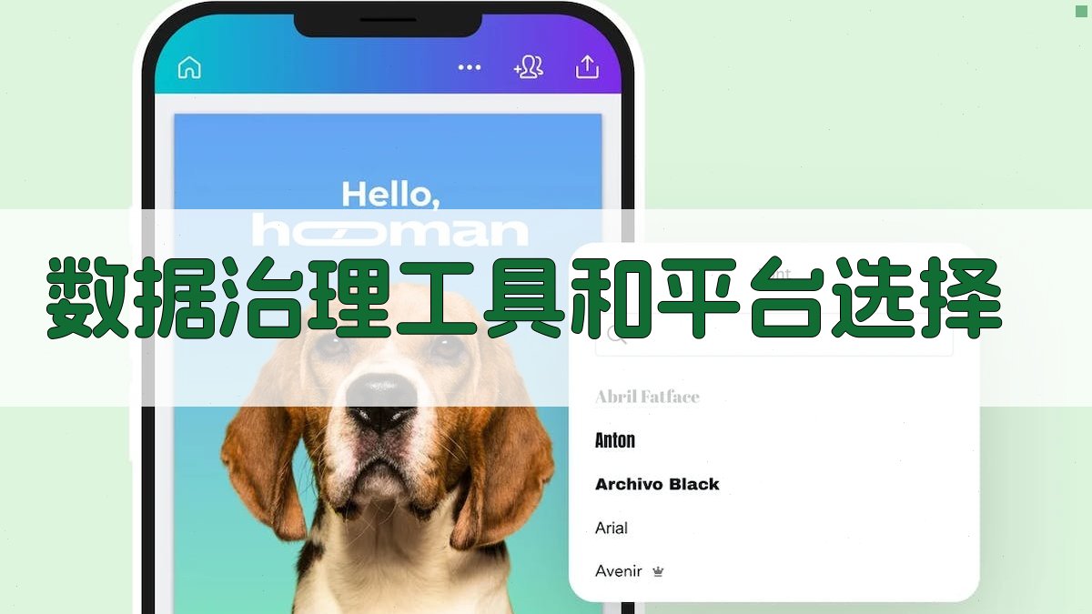 数据治理工具和平台选择 图3