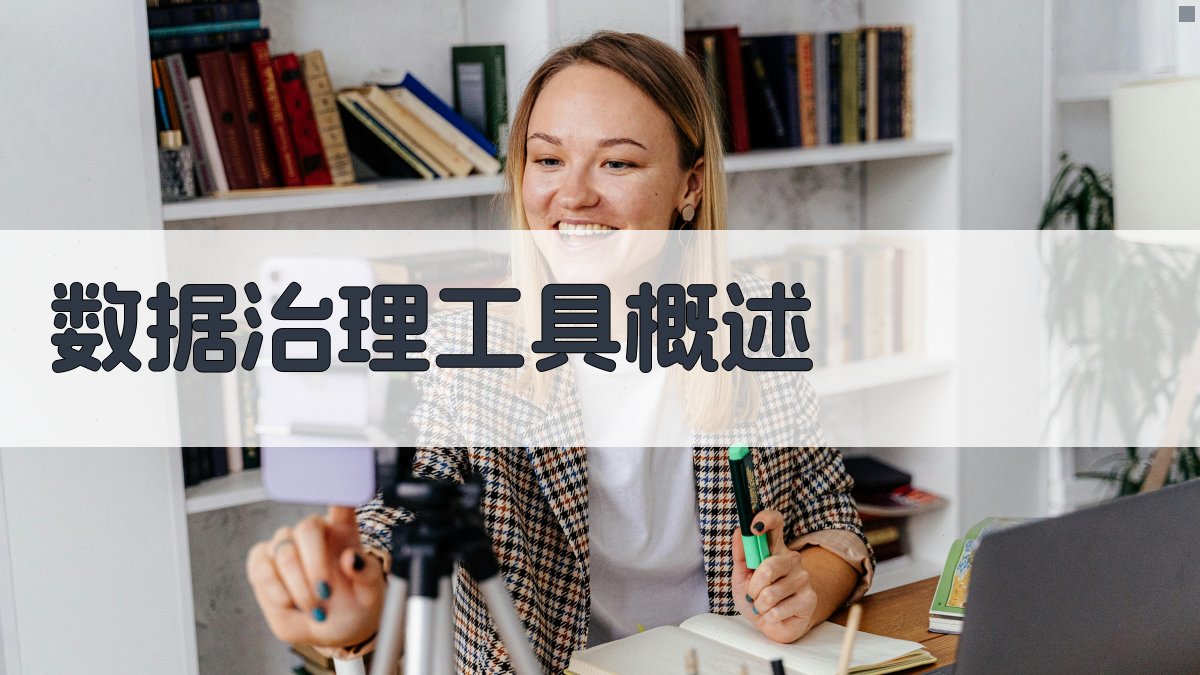 数据治理工具概述 图1