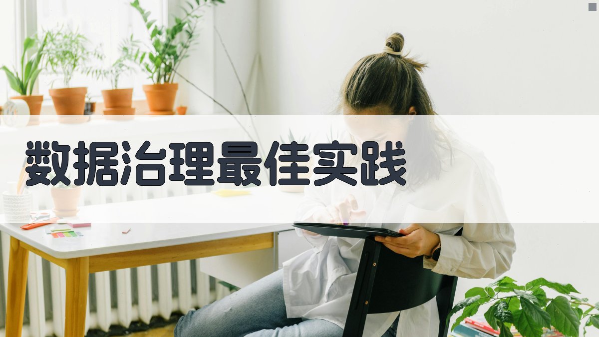 数据治理最佳实践 图3