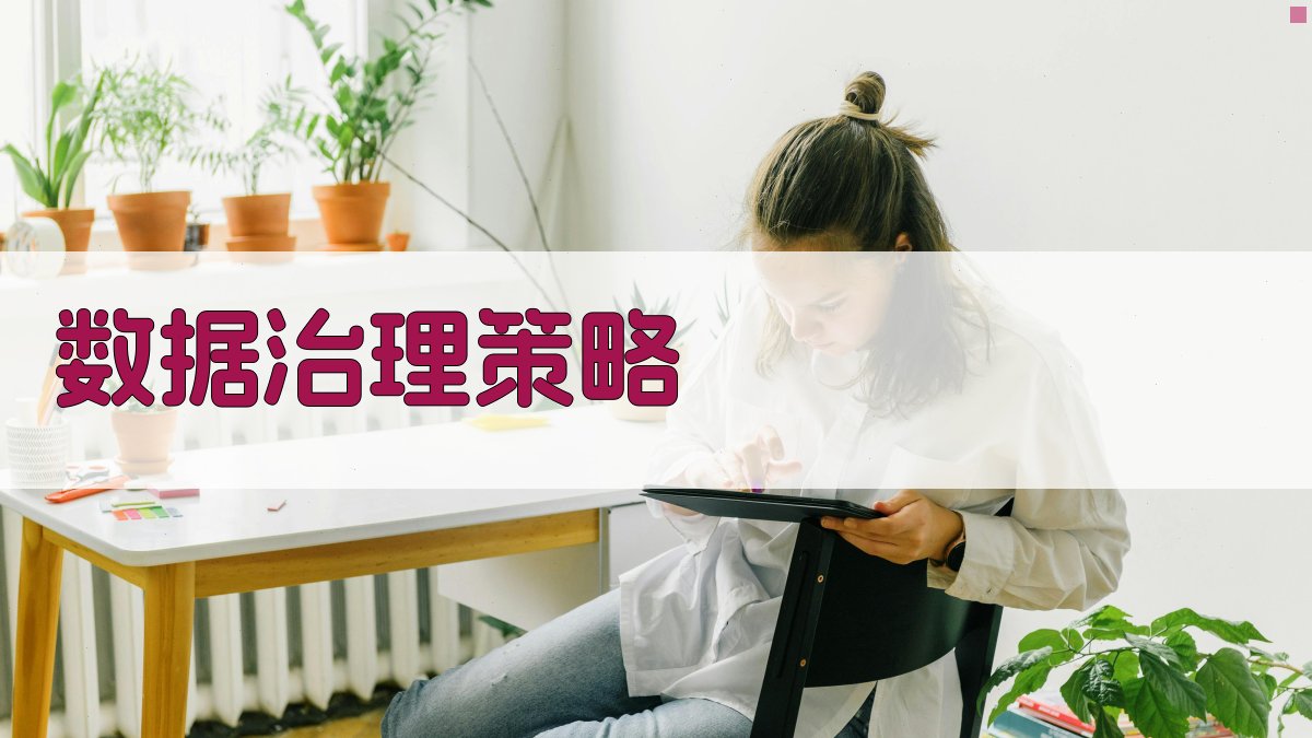 数据治理策略 图1