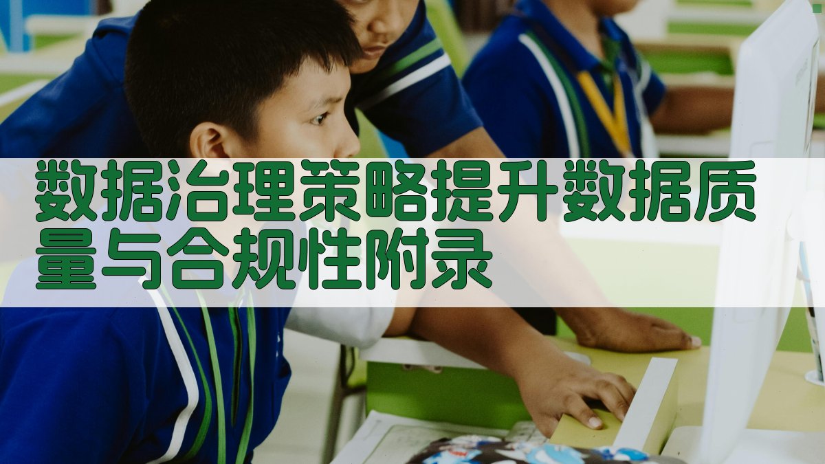 数据治理策略提升数据质量与合规性 · 附录 图2