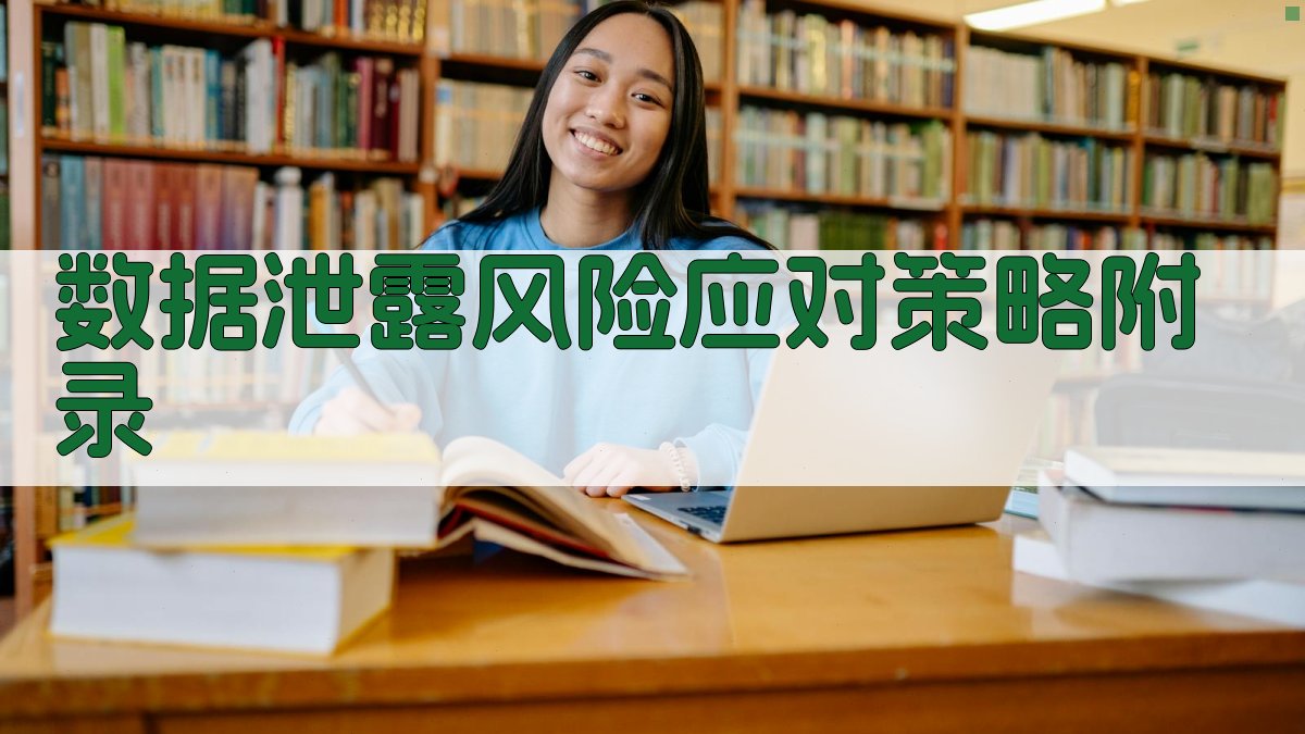 数据泄露风险应对策略 · 附录 图4