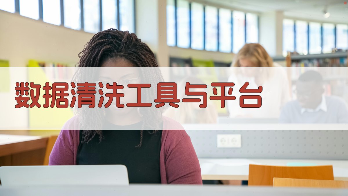 数据清洗工具与平台 图2
