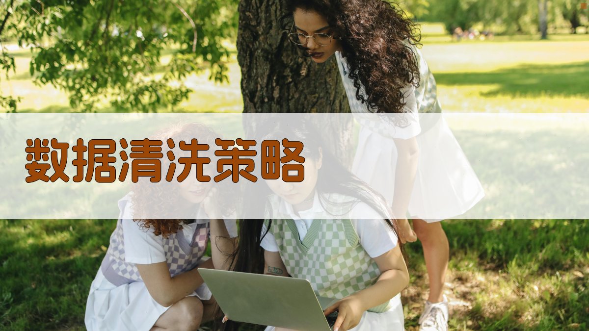 数据清洗策略 图1