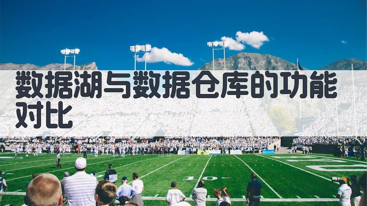 数据湖与数据仓库的功能对比 图3