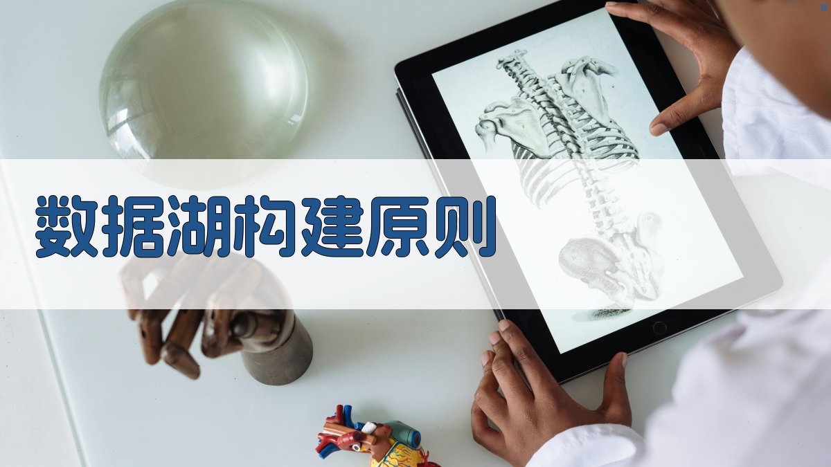 数据湖构建原则 图1