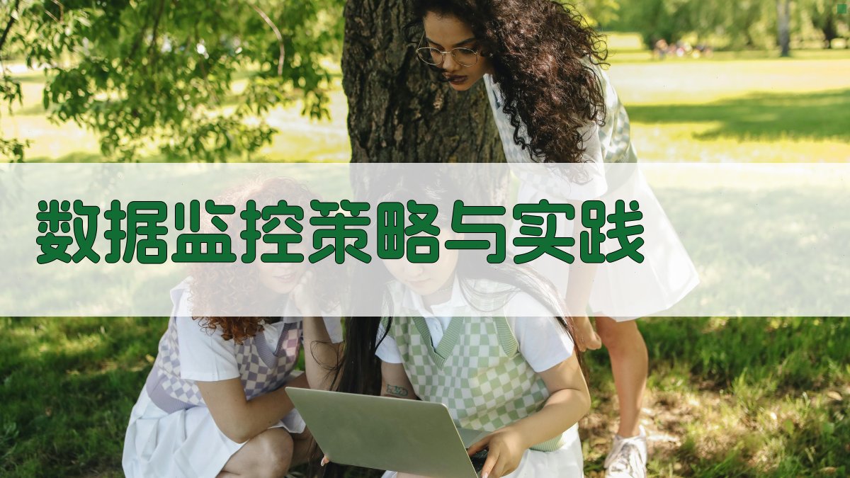 数据监控策略与实践 图2