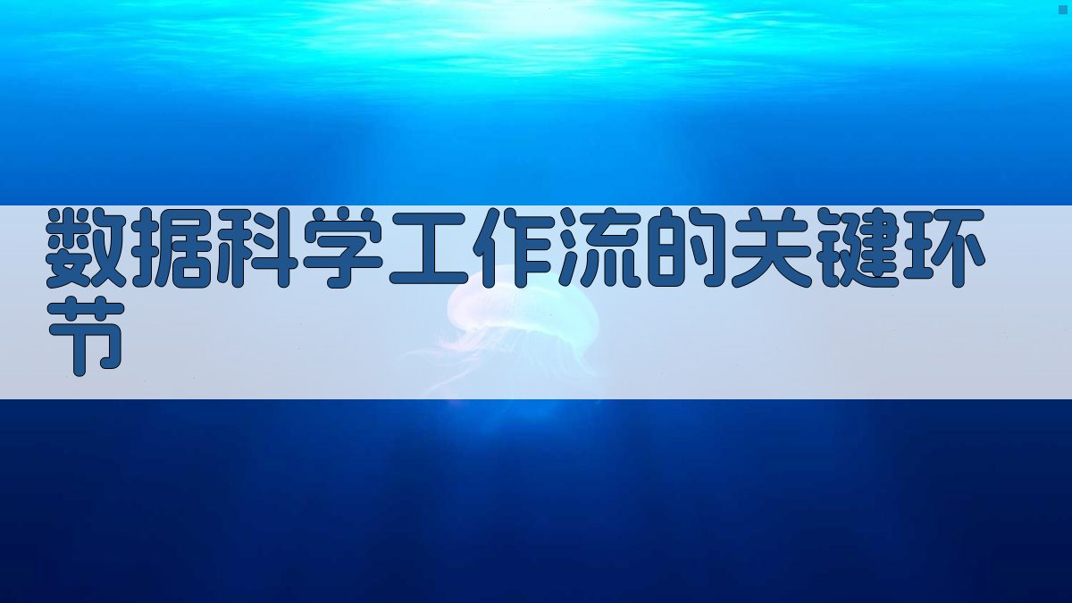 数据科学工作流的关键环节 图1