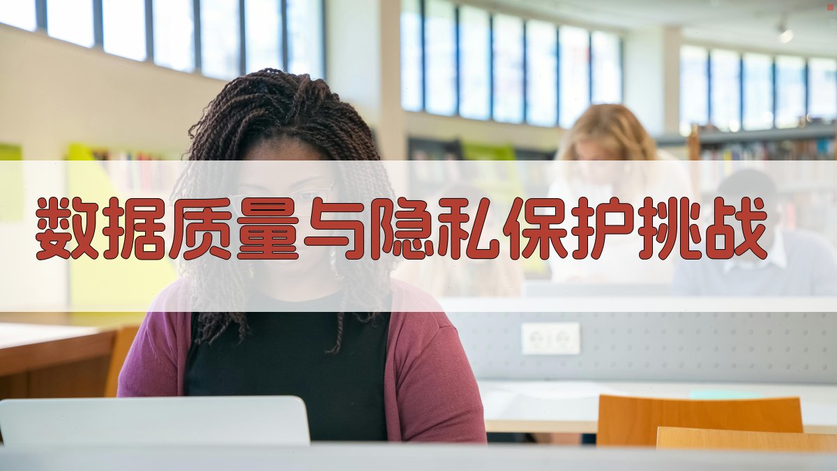 数据质量与隐私保护挑战 图1