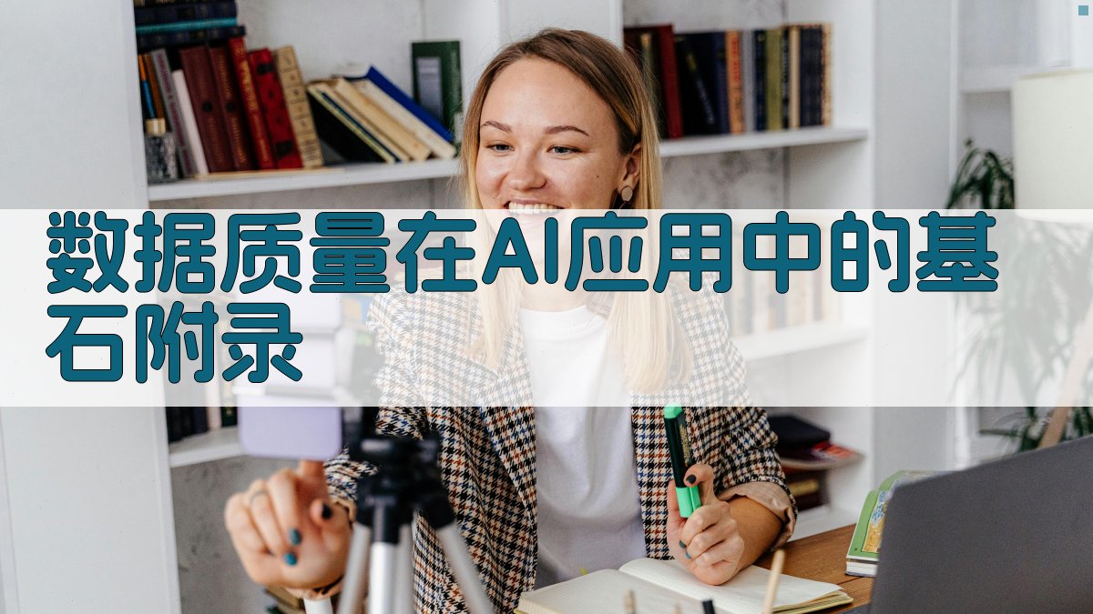 数据质量在AI应用中的基石 · 附录 图2