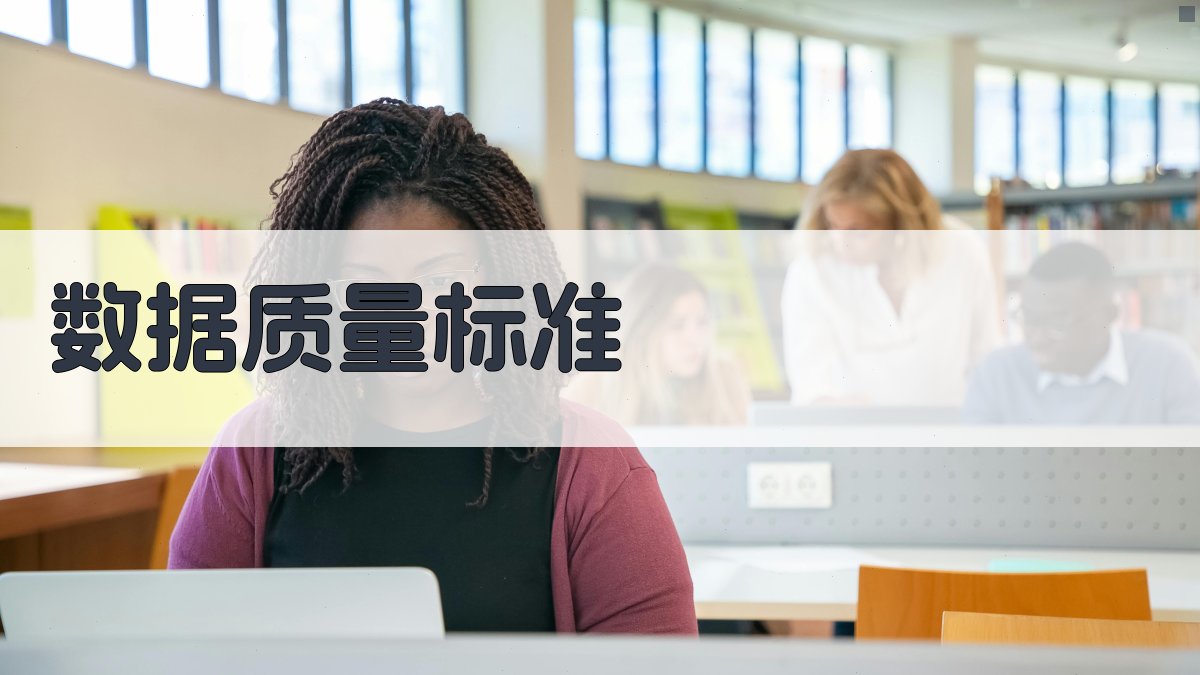数据质量标准 图2